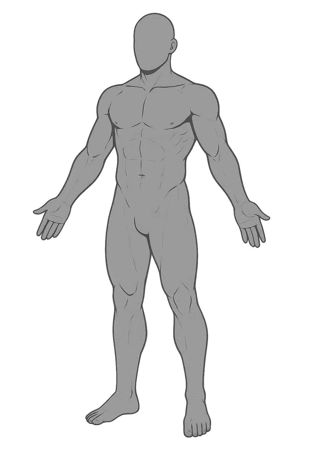 Schéma de la position anatomique de référence : corps humain debout, face à l’observateur, **bras** le long du corps, paumes vers l’avant, **pieds** parallèle
